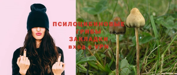 ешки Верея