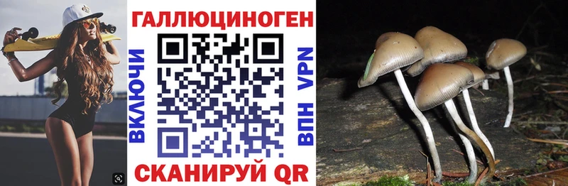 Галлюциногенные грибы ЛСД  Купить закладки  Болотное 